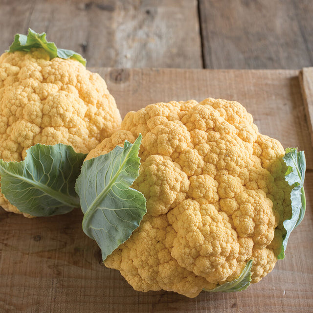 Cauliflower: Flame Star  - NEW!