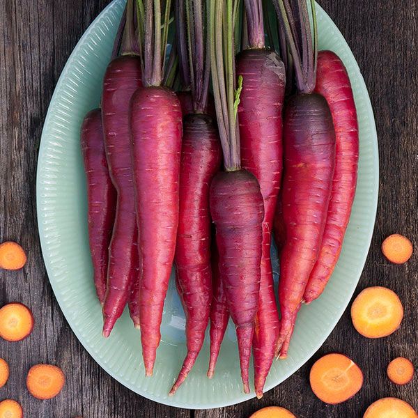 Dragon Carrot Seeds  - NEW!