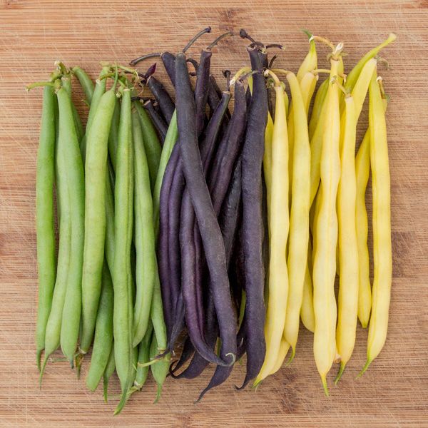 Mardi Gras Bean Blend Seeds