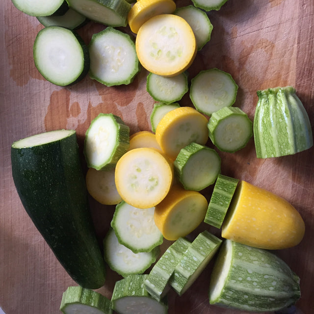 Summer Squash Variety 4-pack