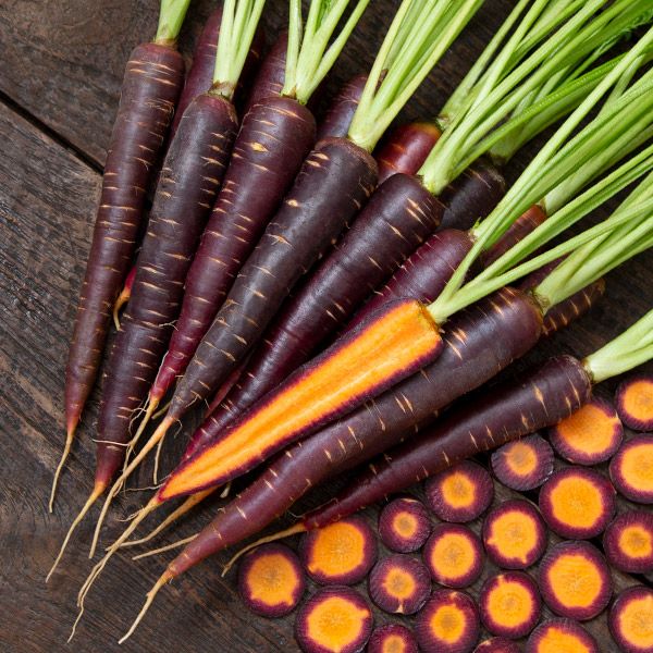 Lila Lu Carrot Seeds  - NEW!