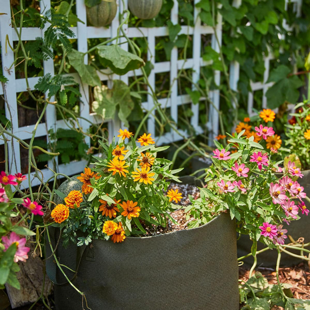 15 gallon Smart Pot® Black Fabric Planters