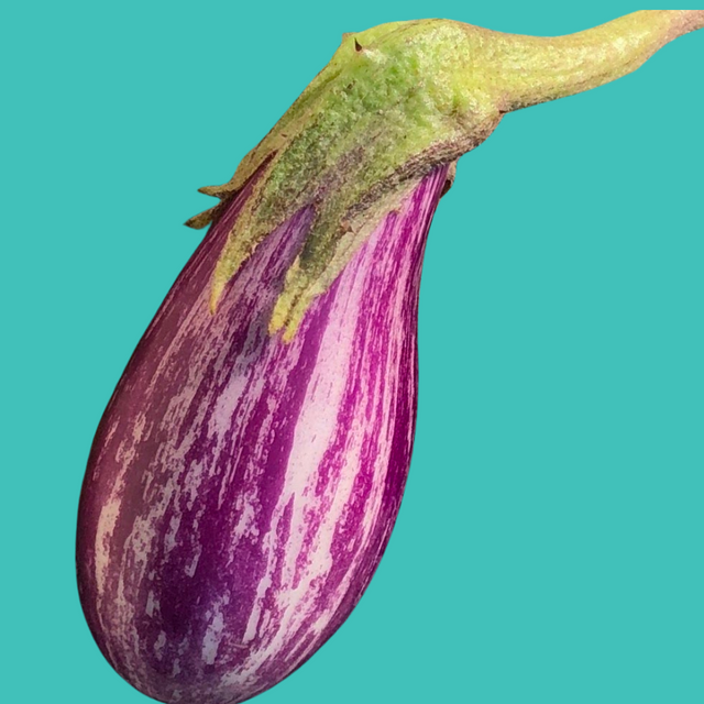 Eggplant: Fairy Tale