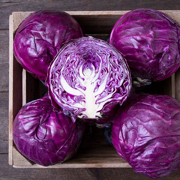 Cabbage: Red: Amarant