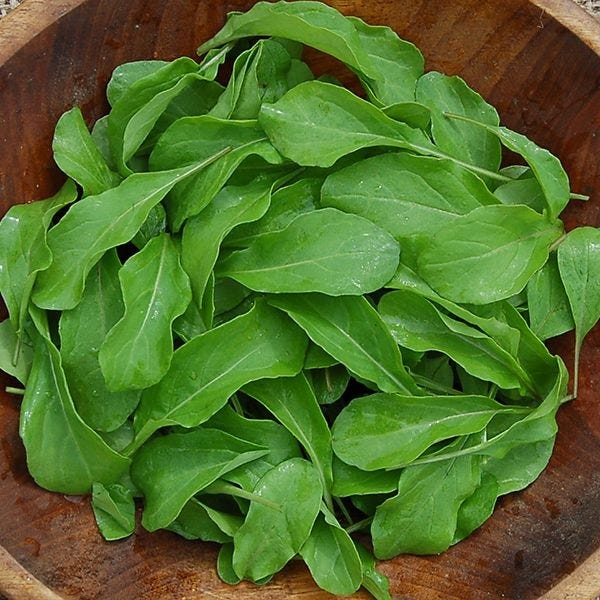 Arugula: Astro