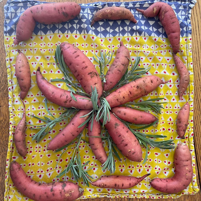 Sweet Potato Slips (Convington)  - NEW!