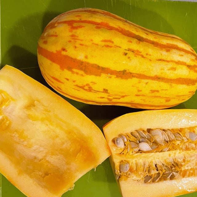 Squash: Delicata