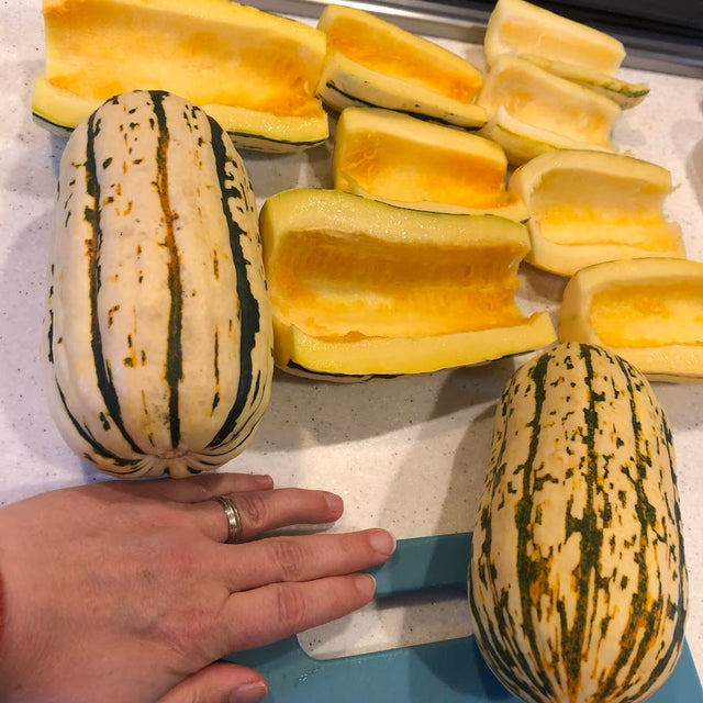 Squash: Delicata