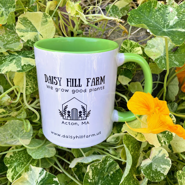 Daisy Hill Farm Mug