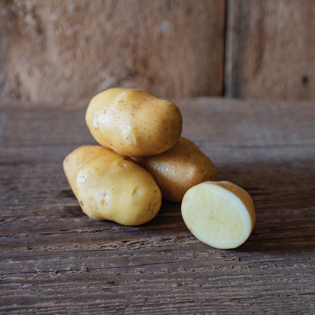 German Butterball Potato  -1lb - NEW!