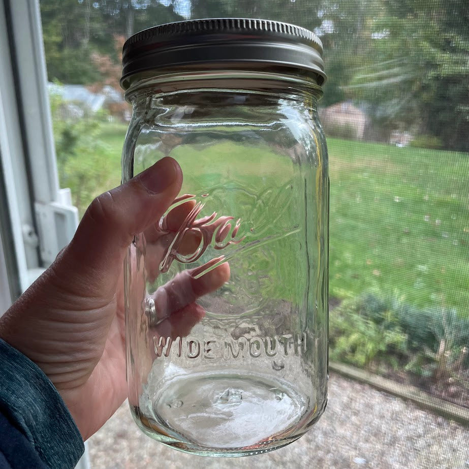 Wide Mouth Jar for growing sprouts