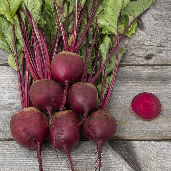 Red Ace Beet Seeds