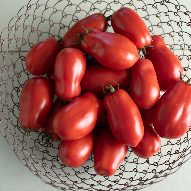 Tomato: San Marzano II Paste  - BACK!