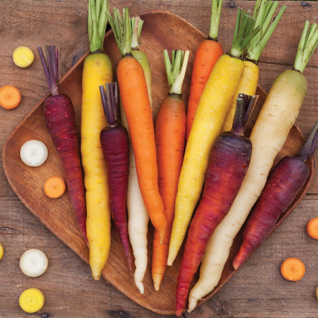 Starburst Carrot Blend Seeds