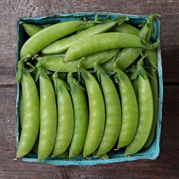 Sweet Gem Sugar Snap Pea Seeds  - NEW!