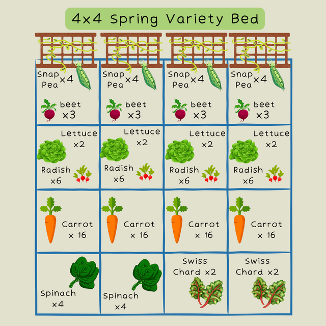 Spring Variety Bed Bundle