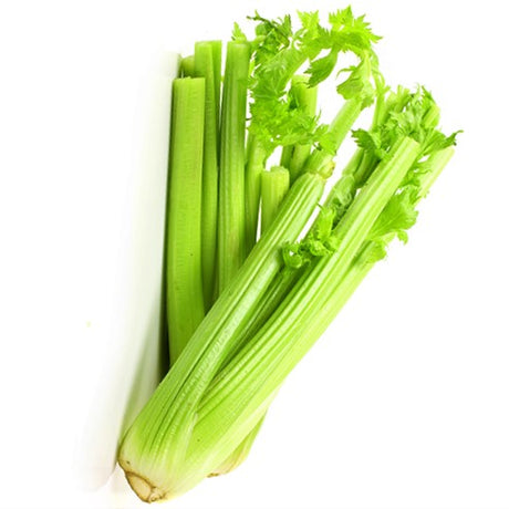 Celery: Tango