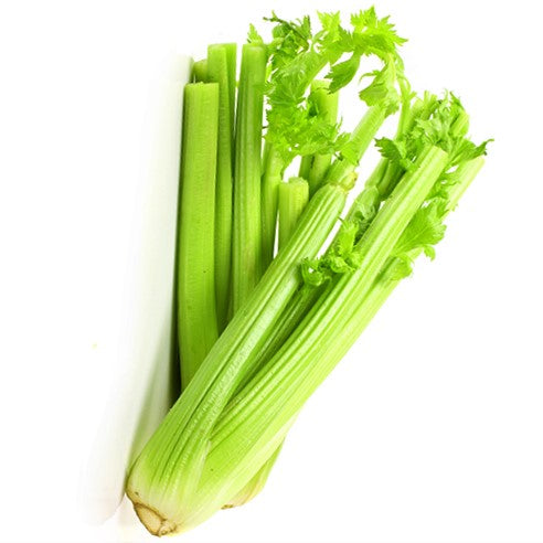 Celery: Tango