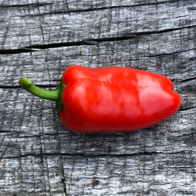 Sweet Pepper: HMS Picnic Red