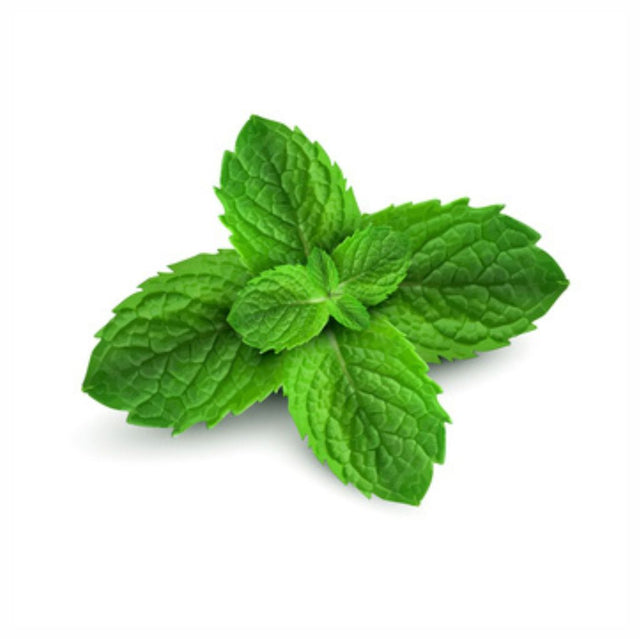 Mint: Peppermint