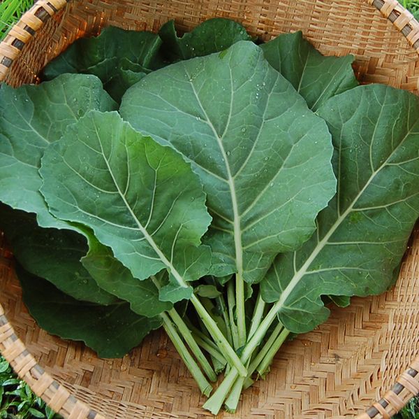 Collards: Champion