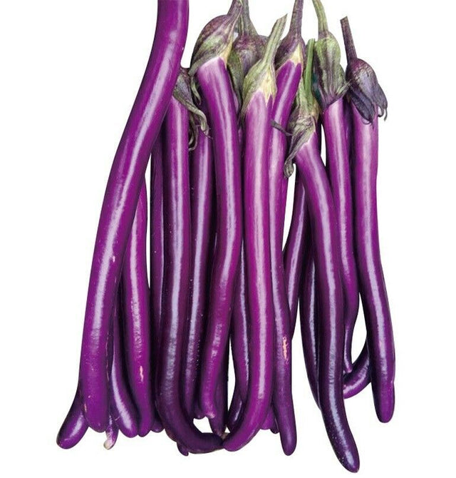 Eggplant: Chinese String