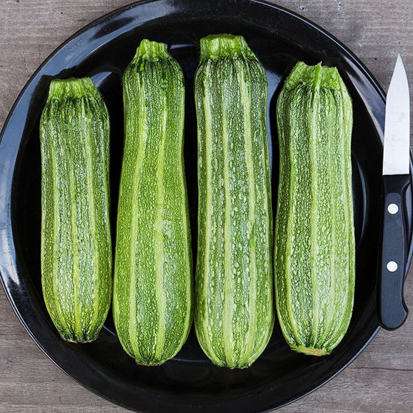 Squash: Costata Romanesca Zucchini