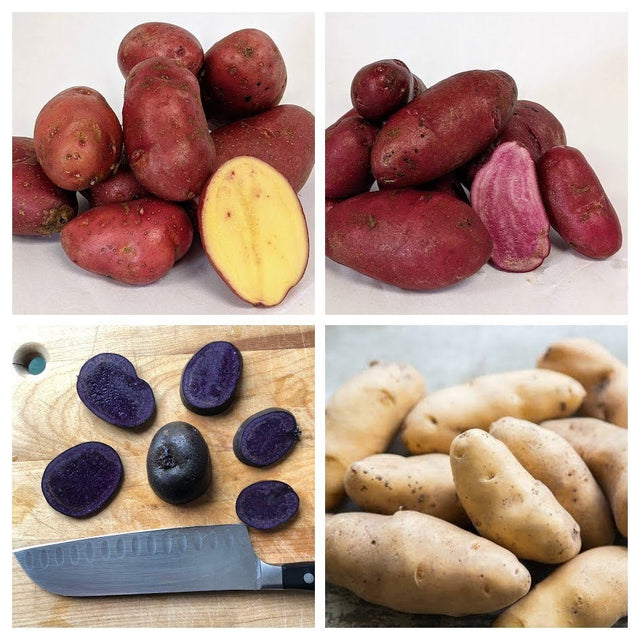 Potato:  Fingerling Assortment - 2 lb