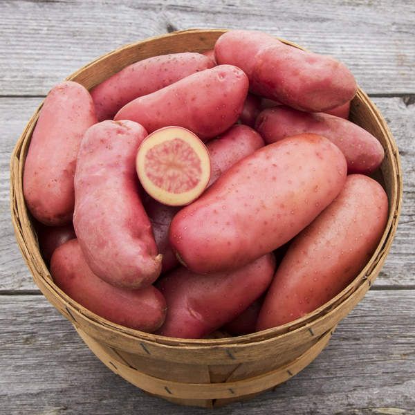 Potato: French Fingerling - 1 lb