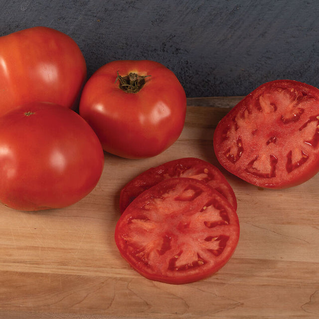 Tomato: Galahad