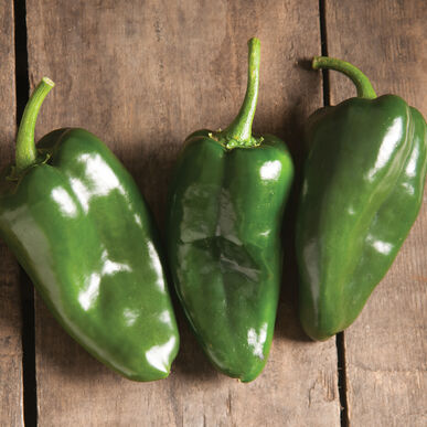 Hot Pepper Variety 4-pack