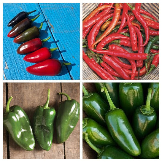 Hot Pepper Variety 4-pack