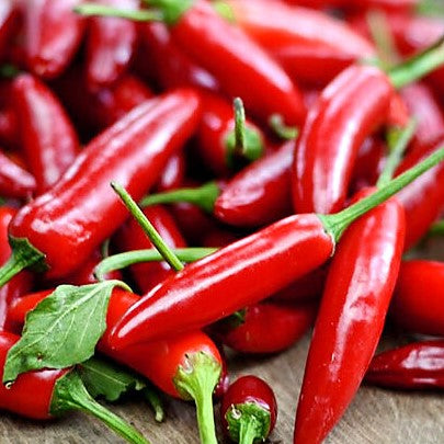 Hot Pepper: Serrano