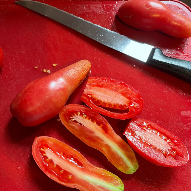 Canning Tomato Variety 4-pack