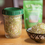 Lid for growing your own sprouting seeds