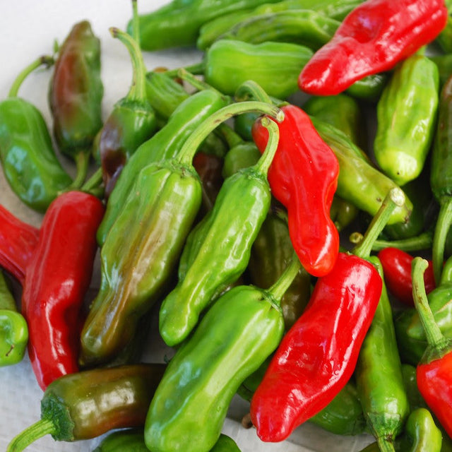 Sweet Pepper: Greek Pepperoncini