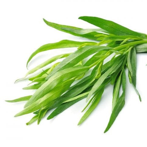 Tarragon: French