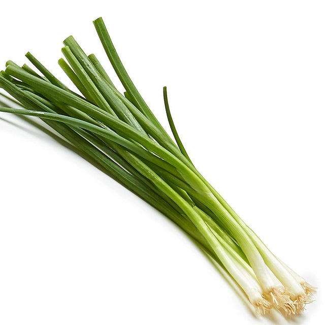 Scallion: Evergreen White Hardy